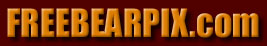 FreeBearPix Logo